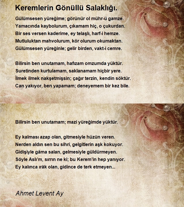 Ahmet Levent Ay