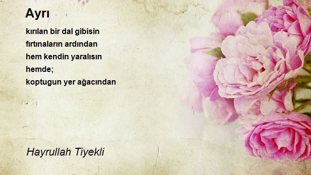 Hayrullah Tiyekli