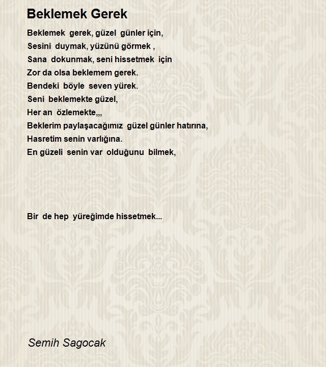 Semih Sagocak