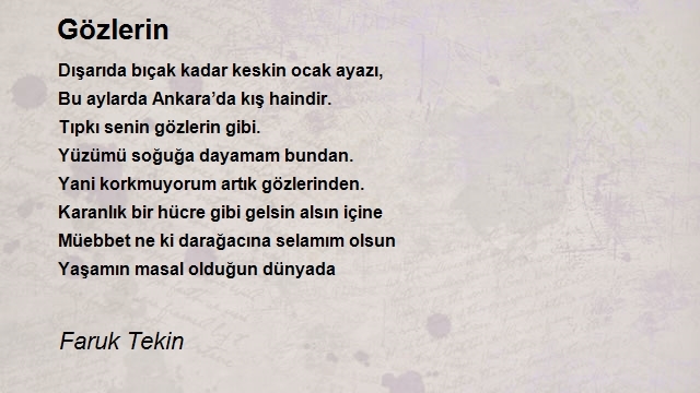 Faruk Tekin