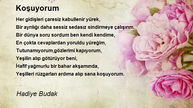 Hadiye Budak