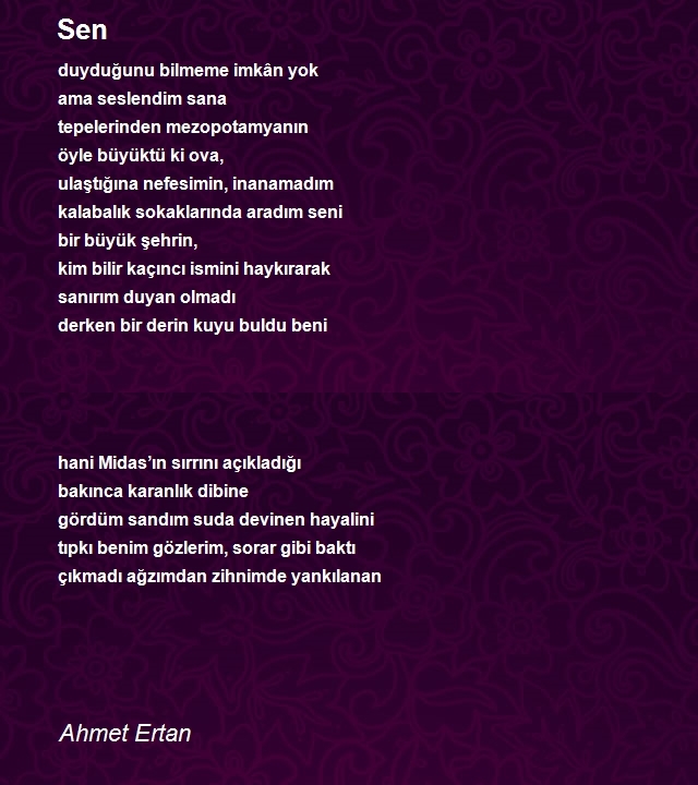 Ahmet Ertan