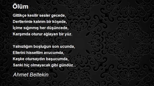 Ahmet Beltekin