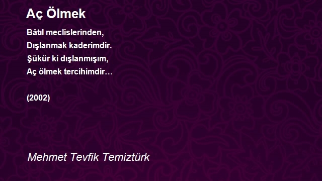 Mehmet Tevfik Temiztürk