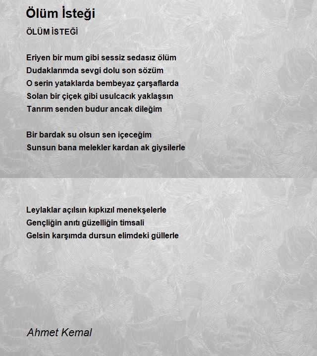 Ahmet Kemal