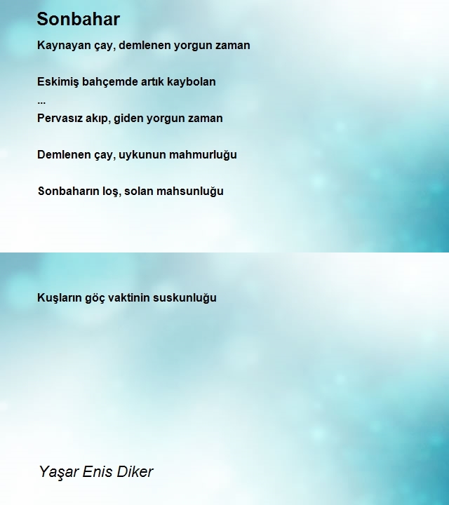 Yaşar Enis Diker