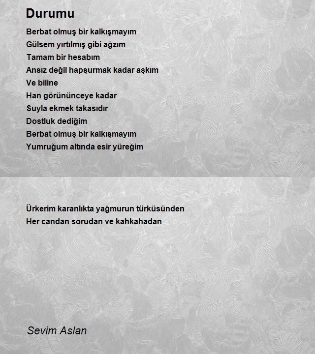 Sevim Aslan