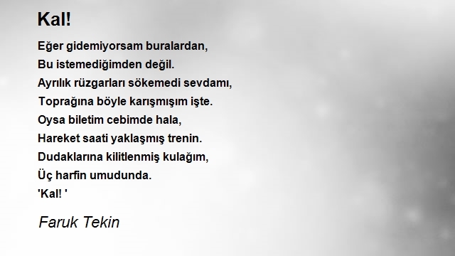 Faruk Tekin