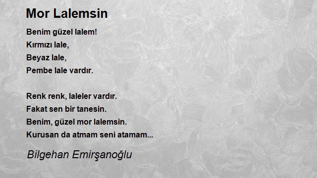 Bilgehan Emirşanoğlu