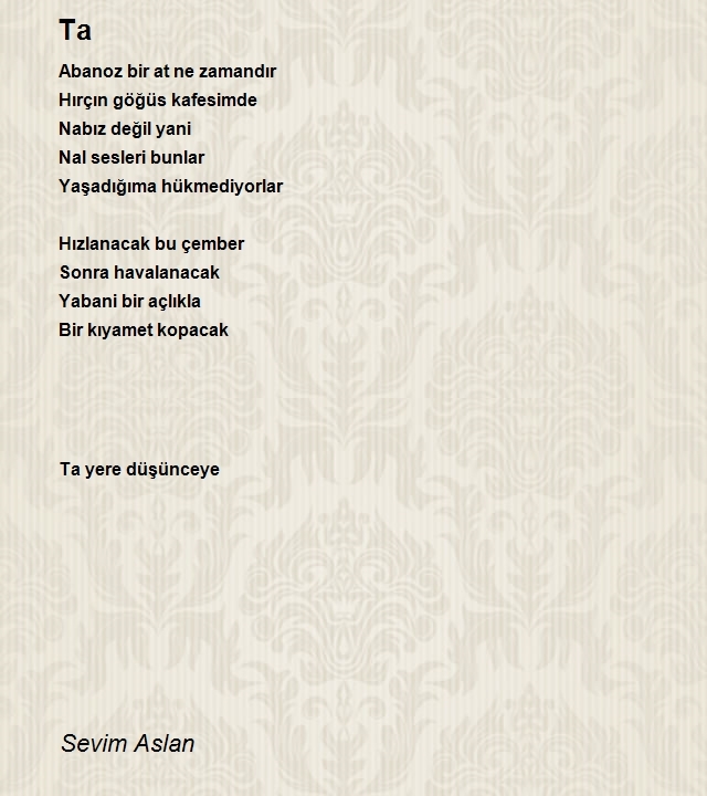 Sevim Aslan