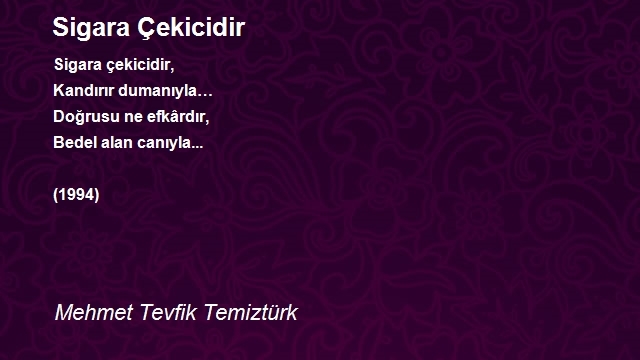 Mehmet Tevfik Temiztürk