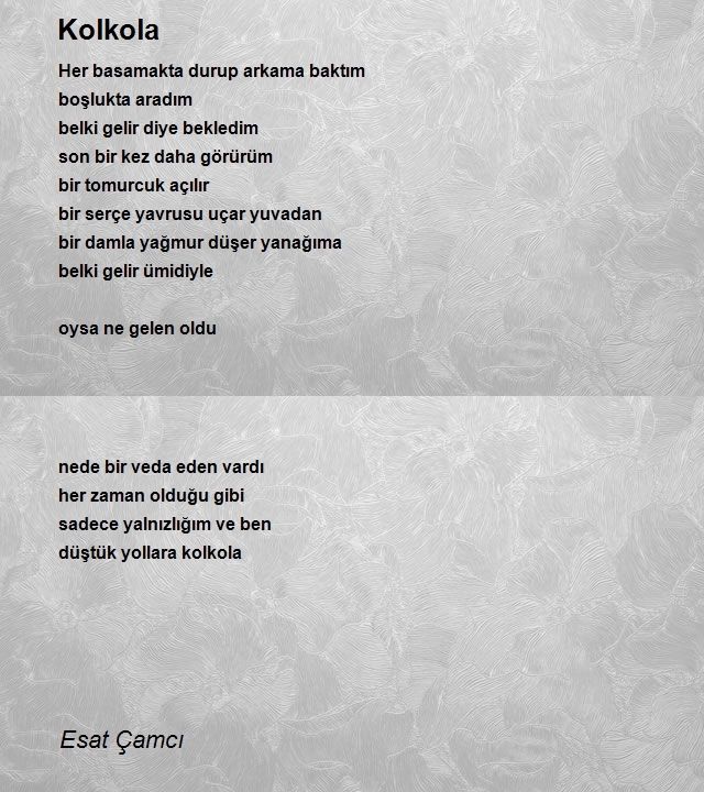 Esat Çamcı