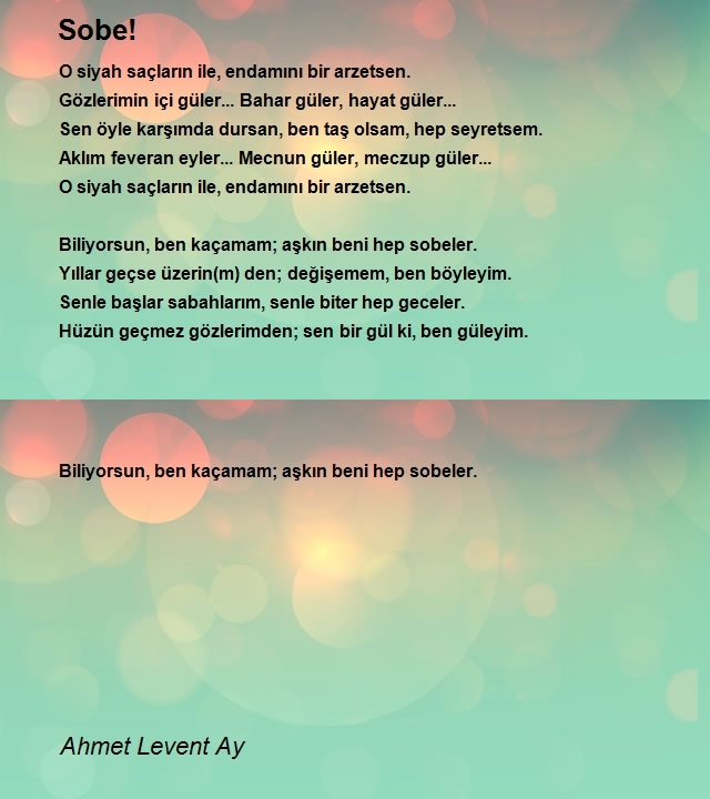 Ahmet Levent Ay