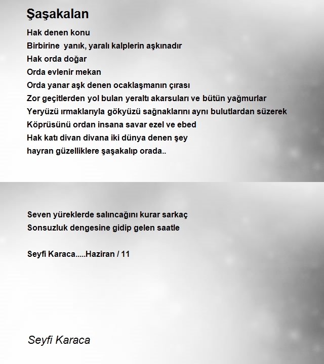 Seyfi Karaca