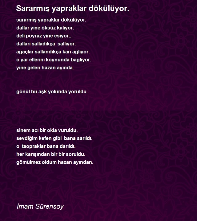 İmam Sürensoy