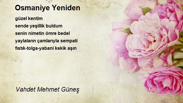 Vahdet Mehmet Güneş