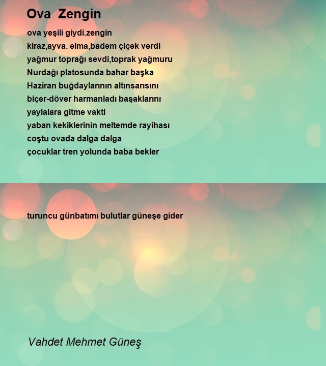 Vahdet Mehmet Güneş