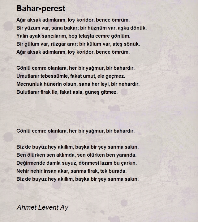 Ahmet Levent Ay