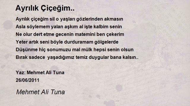 Mehmet Ali Tuna