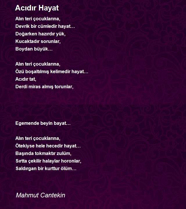 Mahmut Cantekin