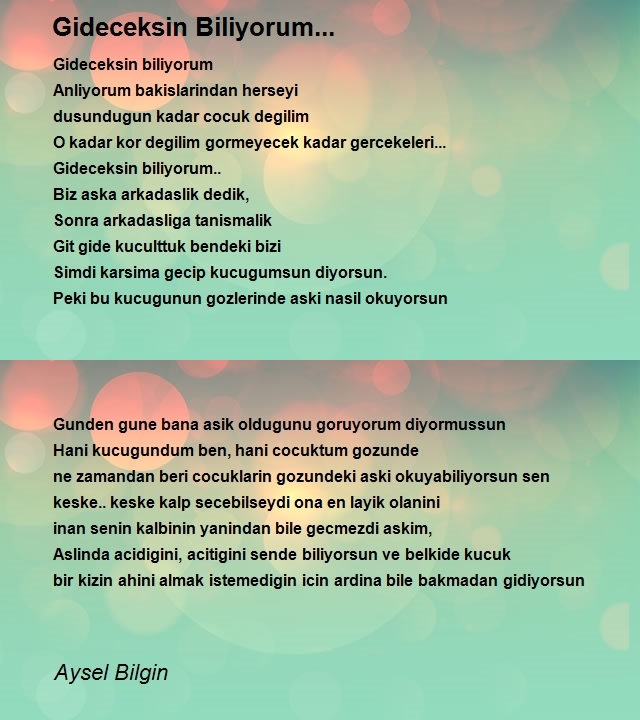 Aysel Bilgin