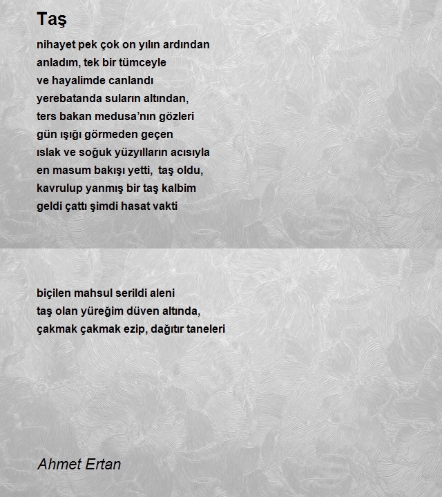 Ahmet Ertan