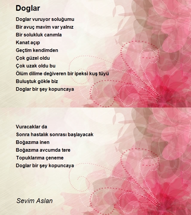 Sevim Aslan