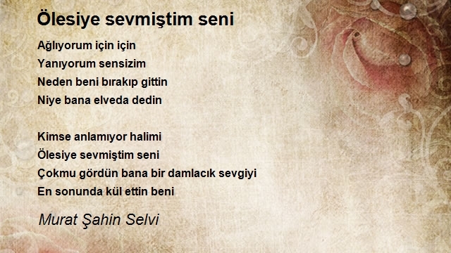 Murat Şahin Selvi 