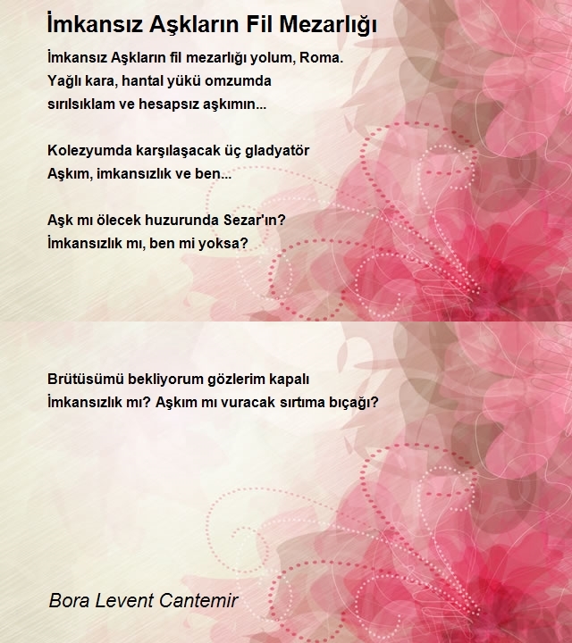 Bora Levent Cantemir