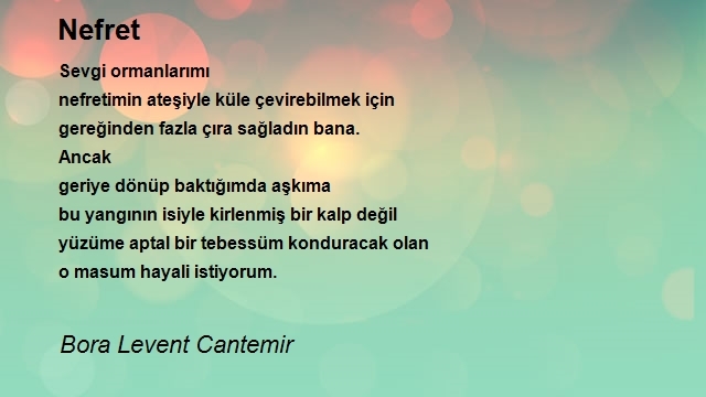 Bora Levent Cantemir