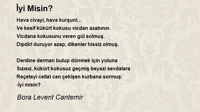 Bora Levent Cantemir