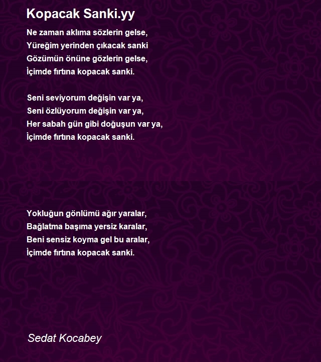 Sedat Kocabey