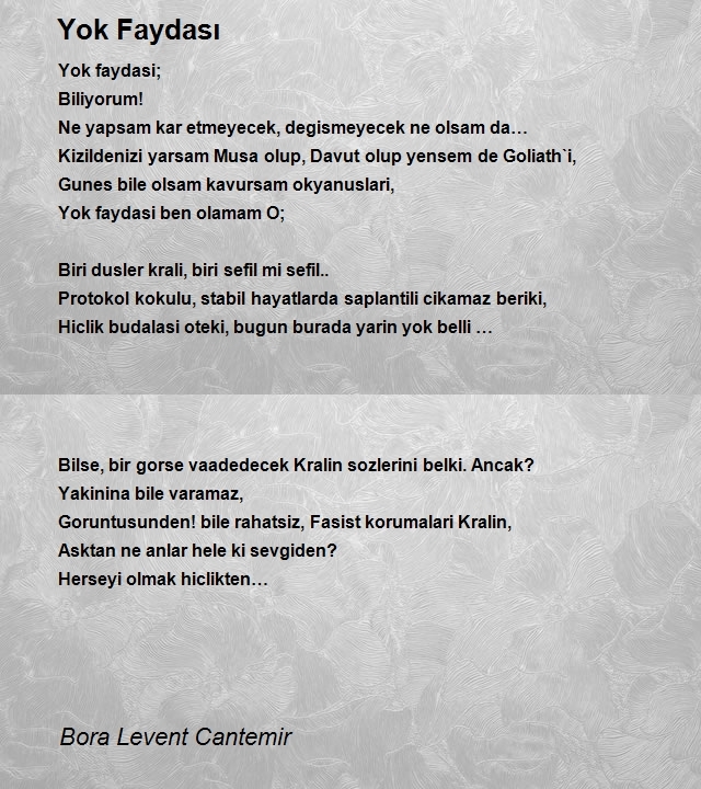 Bora Levent Cantemir