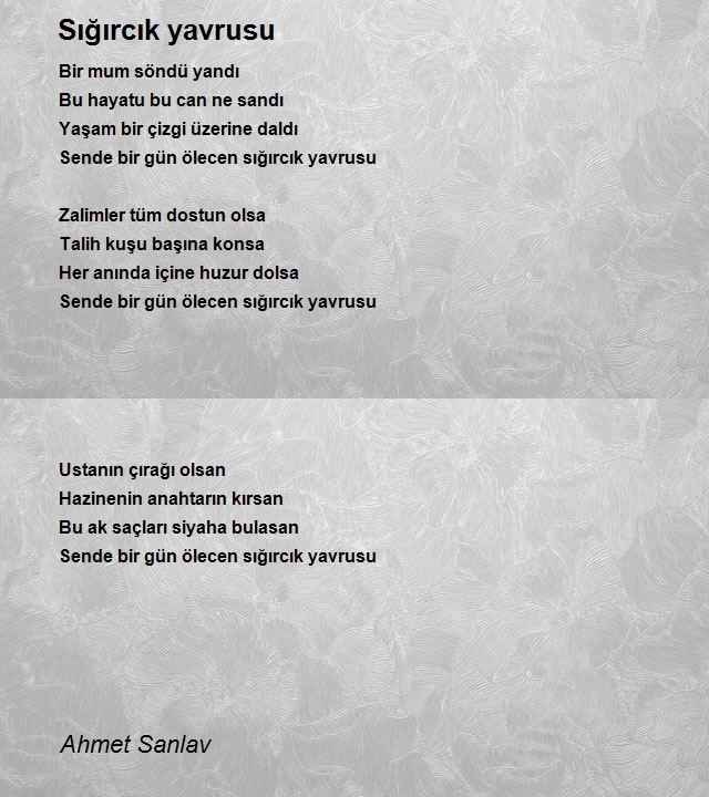 Ahmet Sanlav