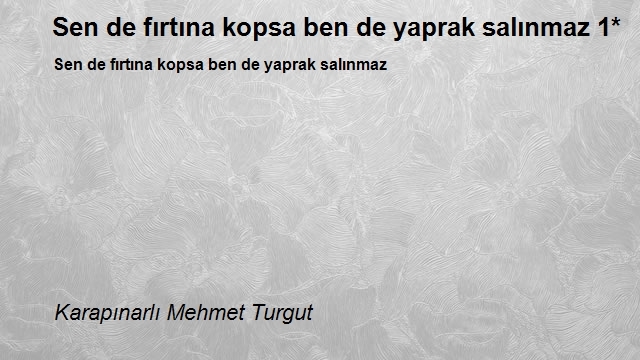 Karapınarlı Mehmet Turgut