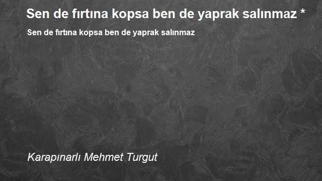 Karapınarlı Mehmet Turgut