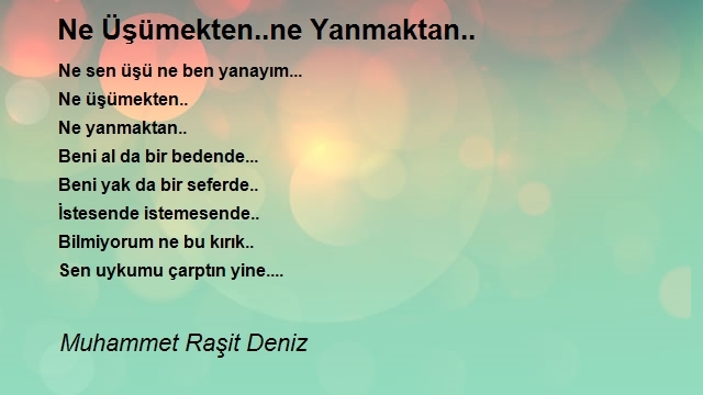 Muhammet Raşit Deniz