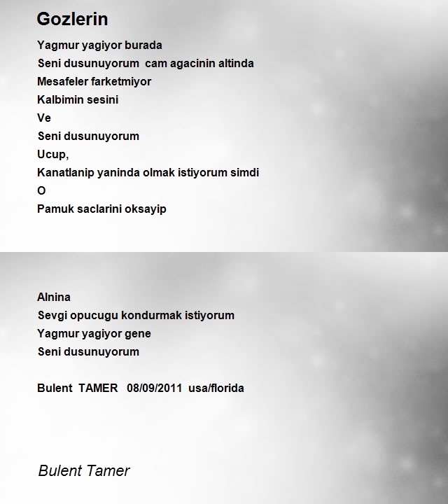 Bulent Tamer