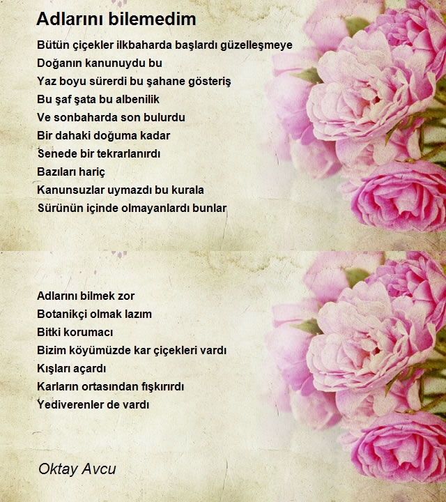 Oktay Avcu