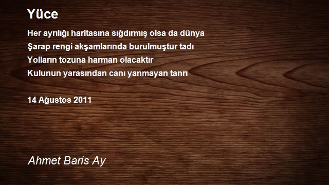 Ahmet Baris Ay