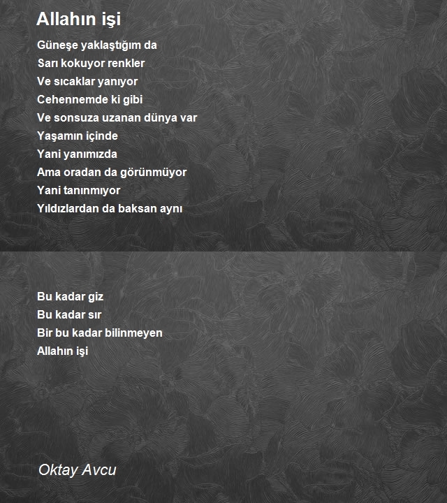 Oktay Avcu