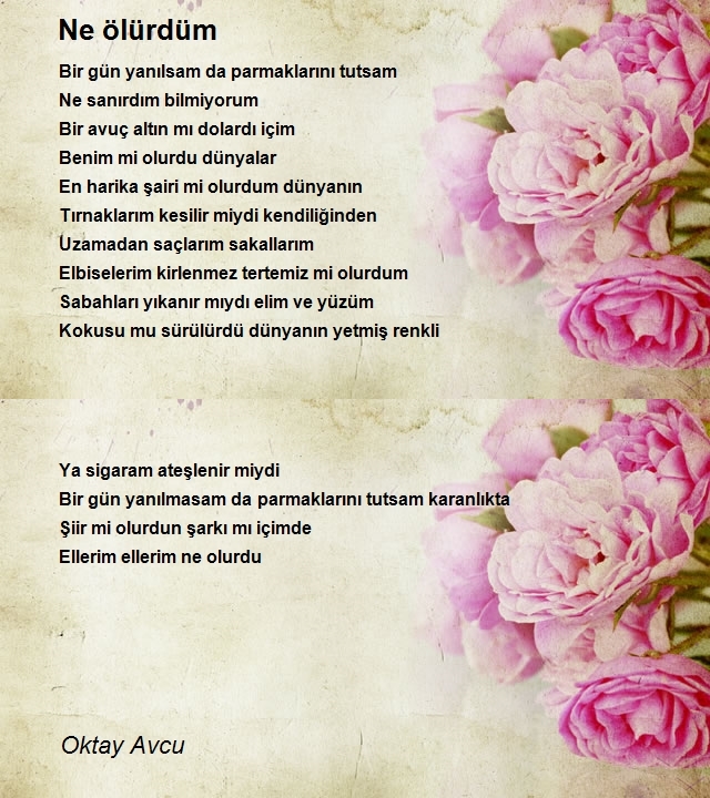 Oktay Avcu