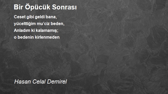 Hasan Celal Demirel