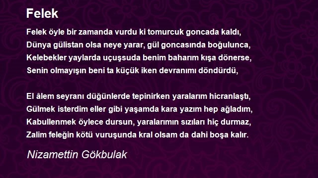 Nizamettin Gökbulak