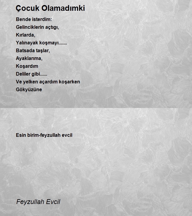 Feyzullah Evcil