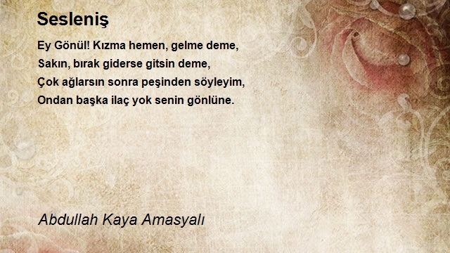 Abdullah Kaya Amasyalı