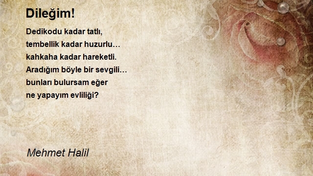 Mehmet Halil