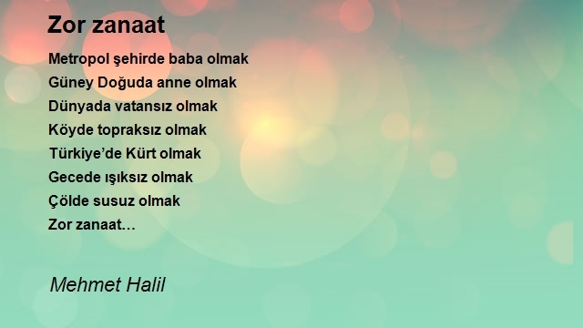 Mehmet Halil