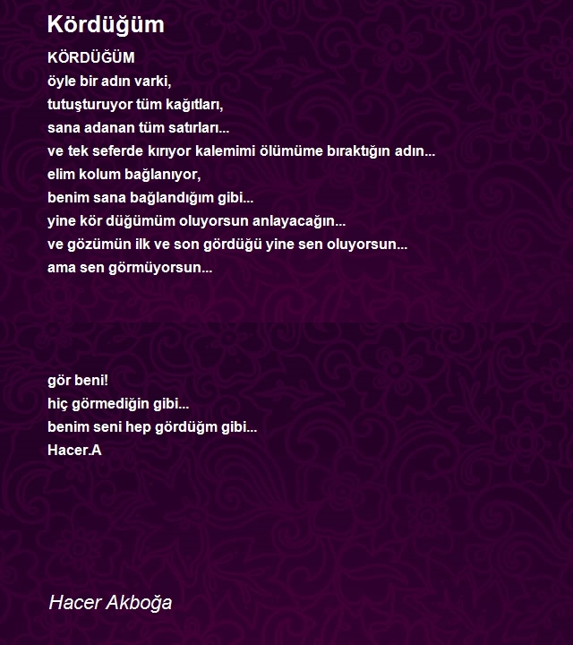 Hacer Akboğa