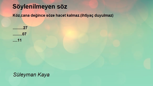 Süleyman Kaya